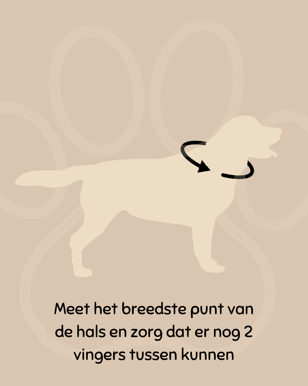 Hondenhalsband Lake green geborduurd – Kwispelkoord