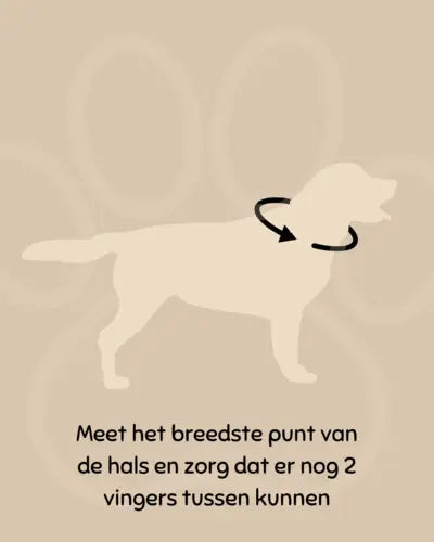 Hondenhalsband Velvet cream beige geborduurd – Kwispelkoord