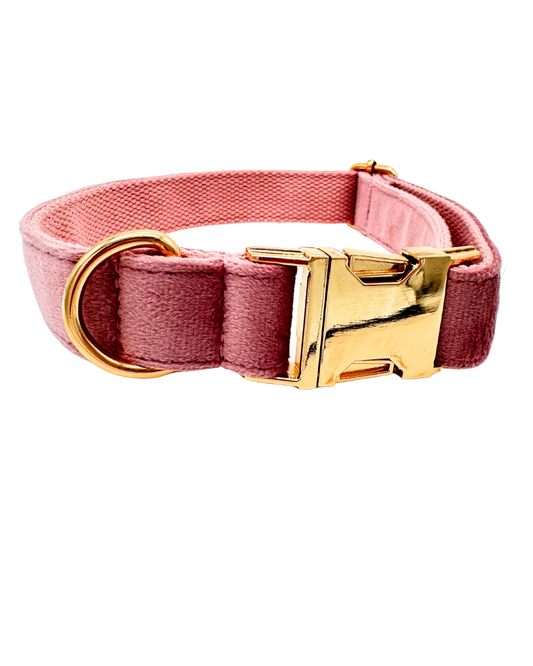 Roze hondenhalsband met roségoudkleurige gesp en zachte voering, geschikt voor kleine tot middelgrote honden.