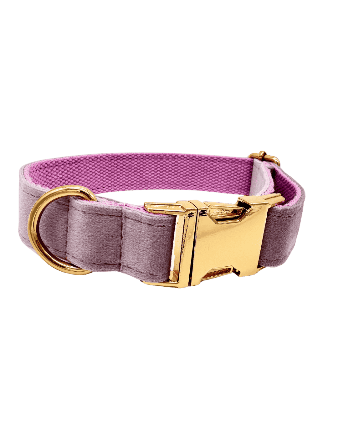 Hondenhalsband Lilac purple paars geborduurd β Kwispelkoord