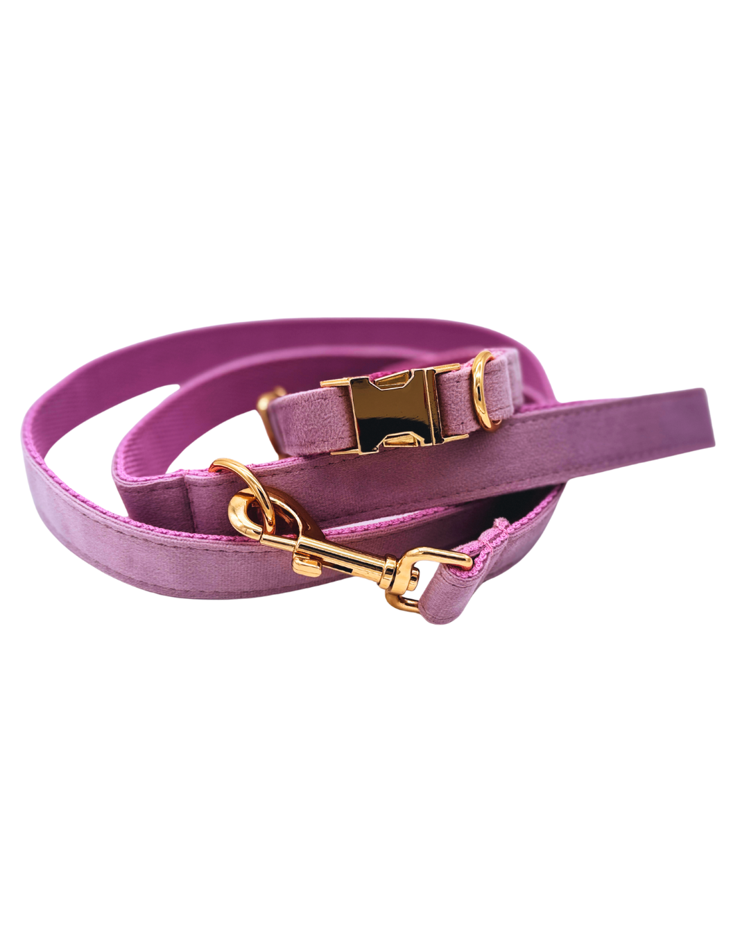 Lavendelkleurige hondenriem met goudkleurige sluiting, zachte en elegante kleur voor stijlvolle honden.