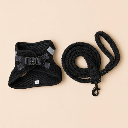 Zwarte teddy walk set voor honden met tuigje en bijpassende riem