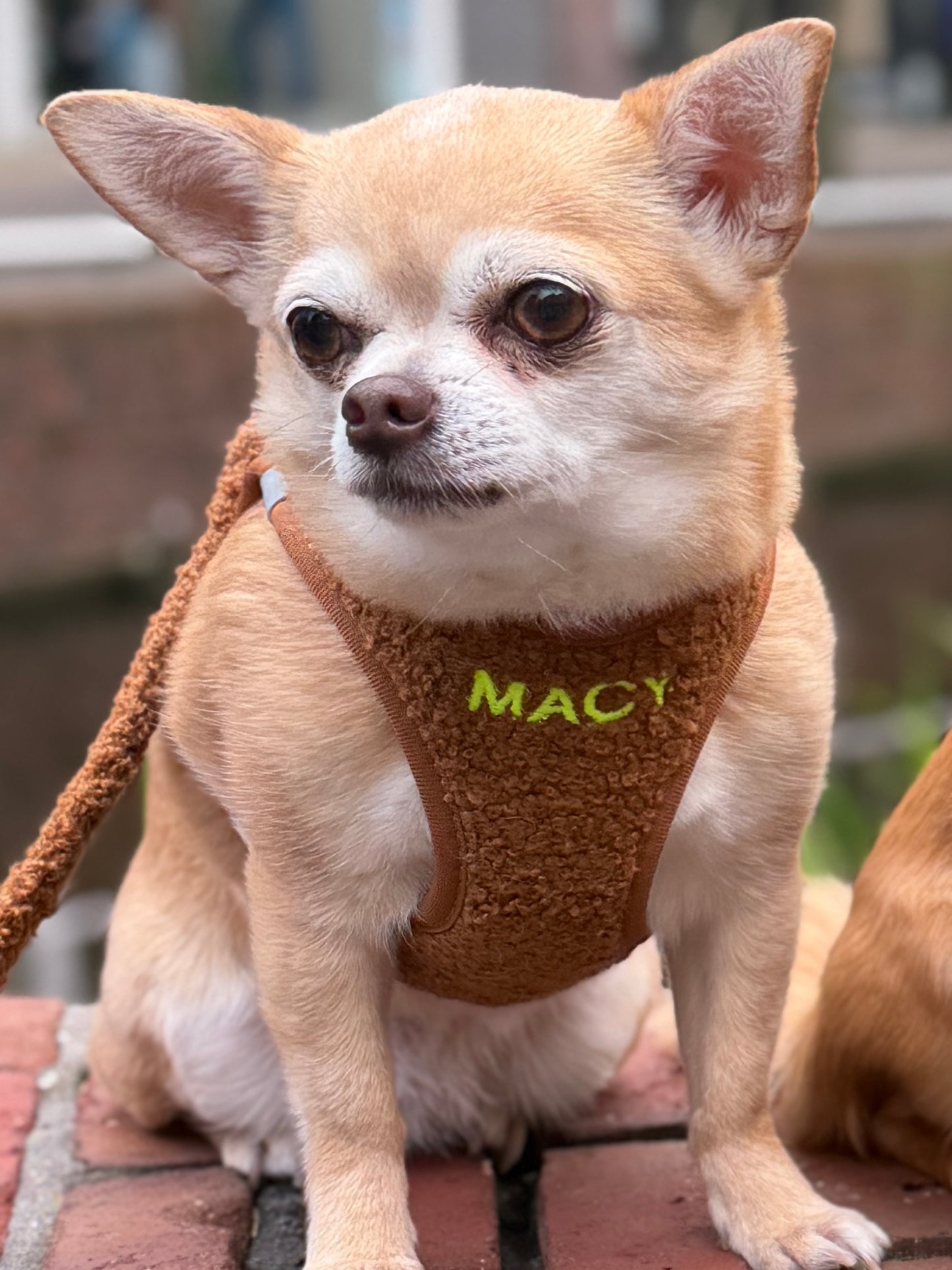 Teddy instaptuig bruin gepersonaliseerd met naam