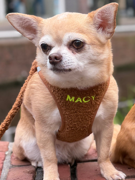 Teddy instaptuig bruin gepersonaliseerd met naam