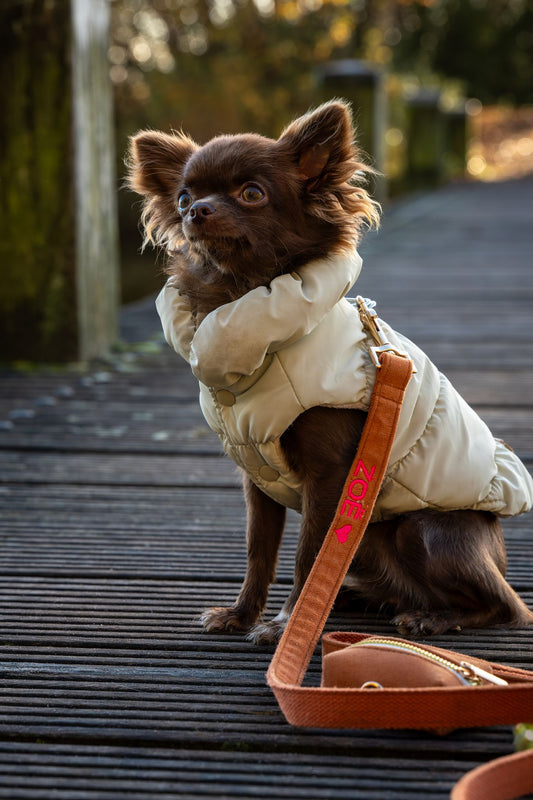 Gepersonaliseerde hondenriem_caramel_met naam geborduurd – verstelbare luxe hondenriem – Kwispelkoord