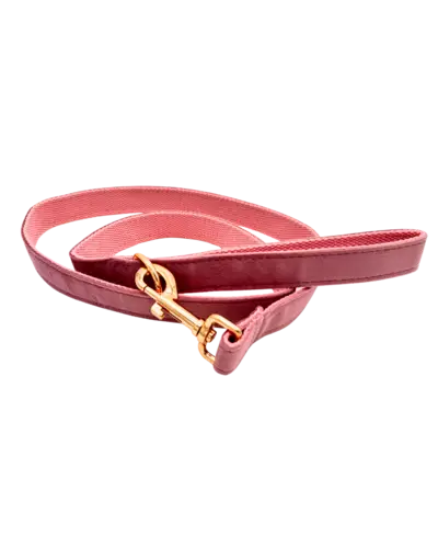 Gepersonaliseerde hondenriem champagne pink roze – zacht velvet – met naam geborduurd – Kwispelkoord – luxe riem voor honden