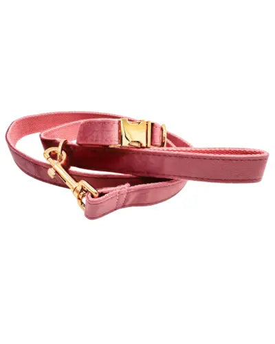 Gepersonaliseerde hondenriem champagne pink roze – zacht velvet – met naam geborduurd – Kwispelkoord – luxe riem voor honden