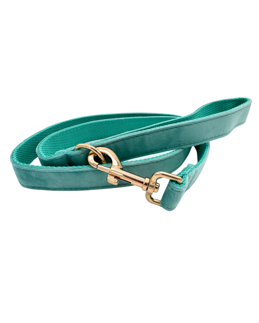 Mintgroene hondenriem met goudkleurige musketonhaak, gemaakt van stevig en zacht materiaal.