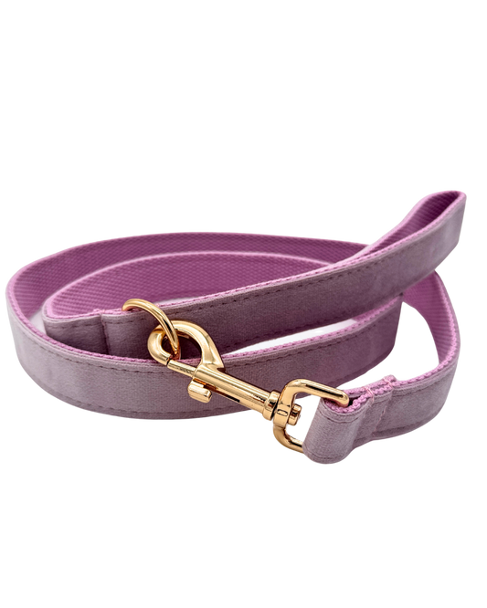 Lavendelkleurige hondenriem met goudkleurige sluiting, zachte en elegante kleur voor stijlvolle honden.