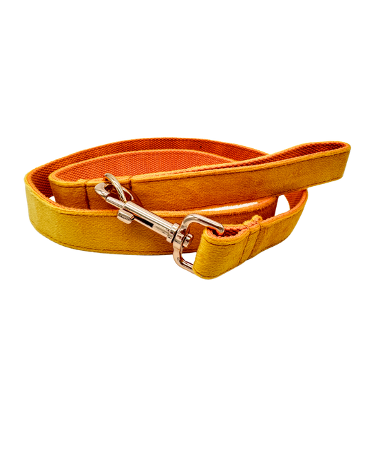 Tumeric gele hondenriem met goudkleurige haak, opvallend en trendy design voor zonnige wandelingen.
