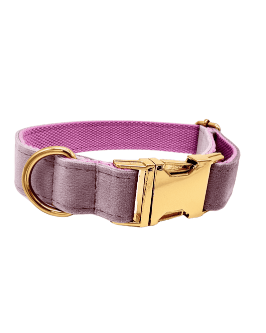 Hondenhalsband Lilac purple paars geborduurd – Kwispelkoord