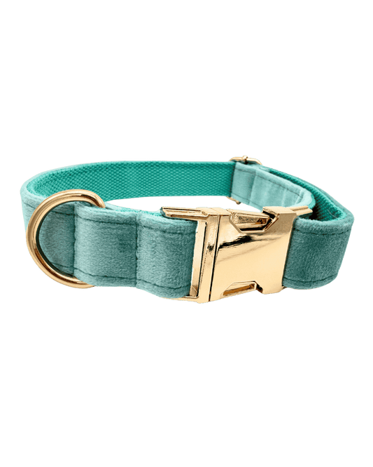 Hondenhalsband Lake green geborduurd – Kwispelkoord