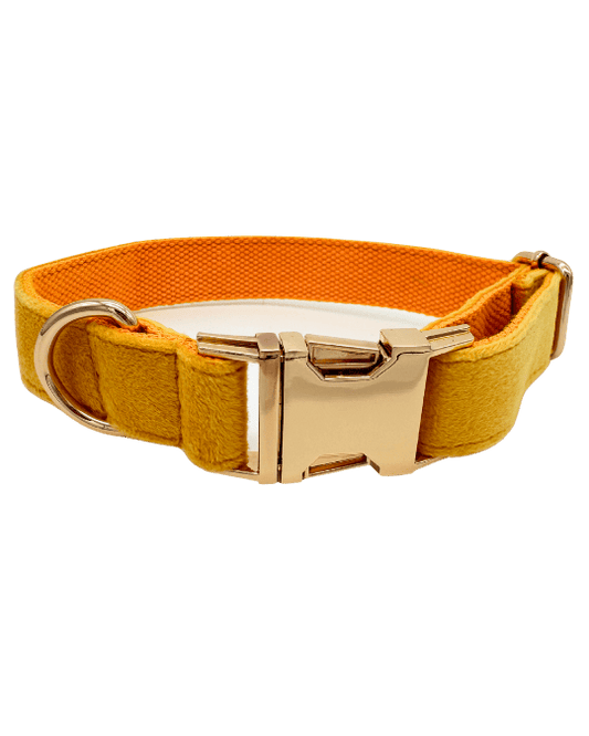 Hondenhalsband Tumeric geel geborduurd – Kwispelkoord