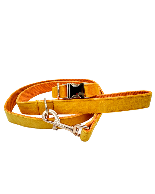 Tumeric gele hondenriem met goudkleurige haak, opvallend en trendy design voor zonnige wandelingen.