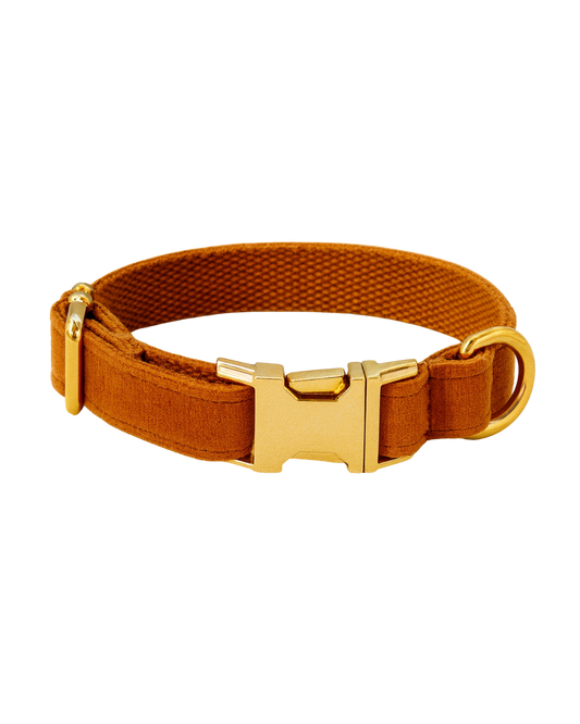 Hondenhalsband Caramel - geborduurd – Kwispelkoord