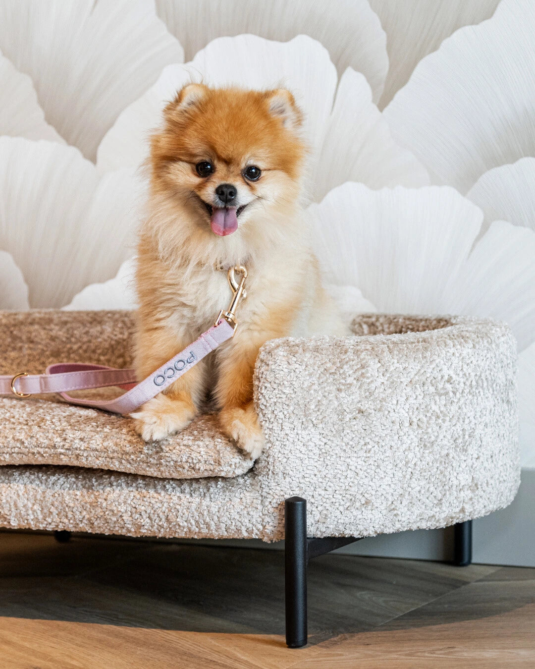 Gepersonaliseerde hondenriem champagne pink roze – zacht velvet – met naam geborduurd – Kwispelkoord – luxe riem voor honden