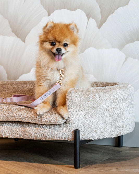 Gepersonaliseerde hondenriem champagne pink roze – zacht velvet – met naam geborduurd – Kwispelkoord – luxe riem voor honden