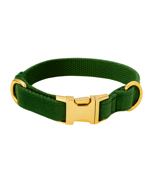Hondenhalsband Peacock green - donkergroen - geborduurd – Kwispelkoord
